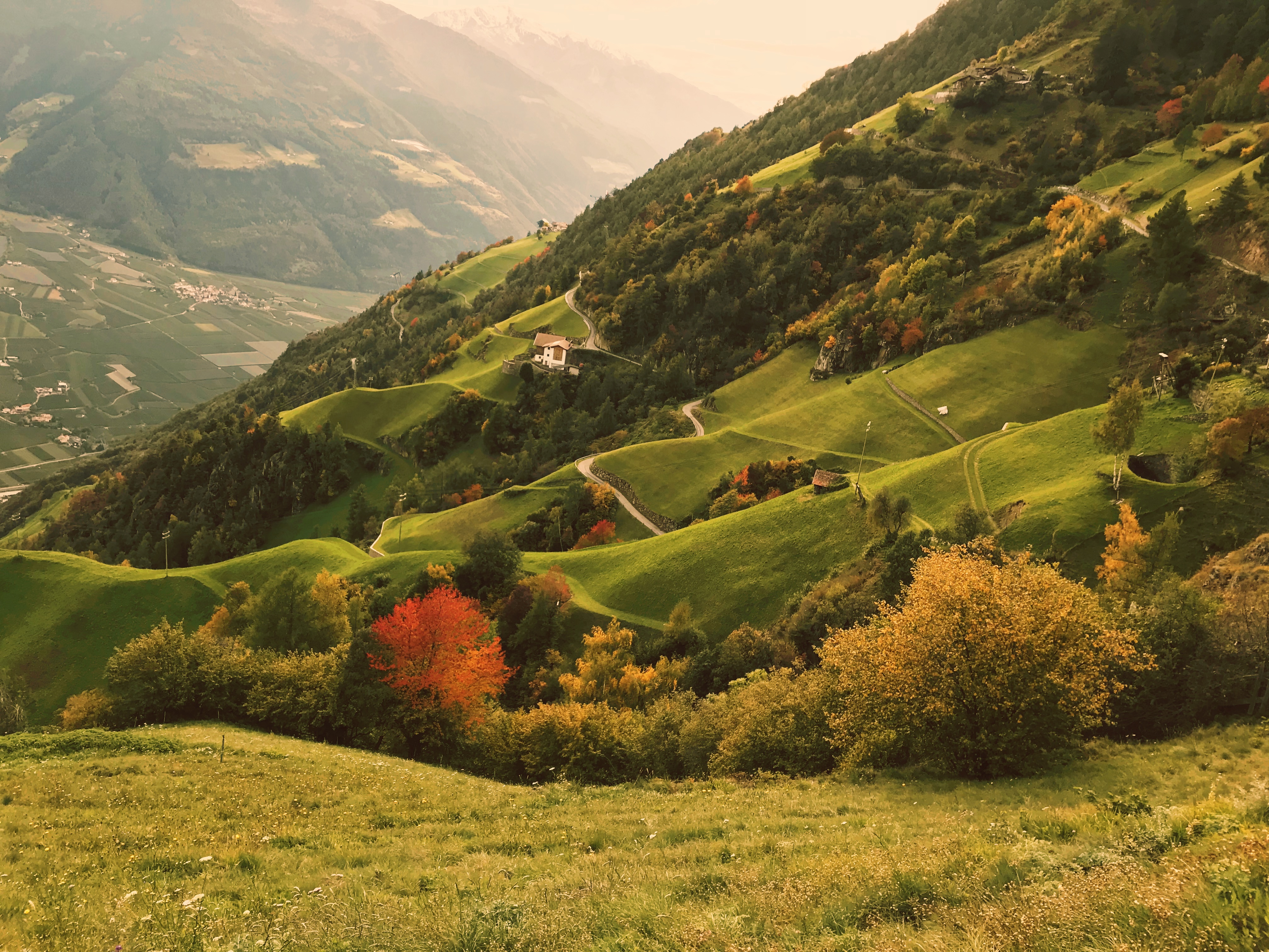  Südtirol - Grünes Paradies 