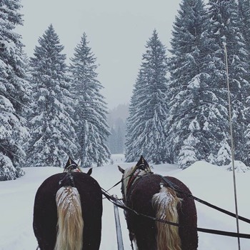  Gnadenalm - Austria  