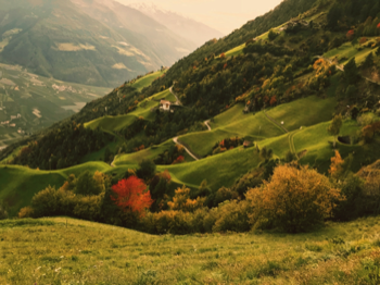  Südtirol - Grünes Paradies 